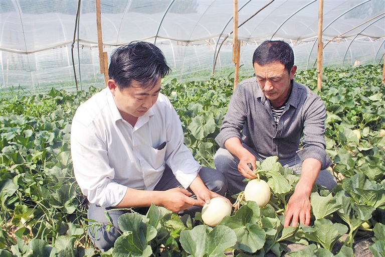 单县李新庄信用社主任董国伟(左)到扶持的兴农洋香瓜种植基地查看