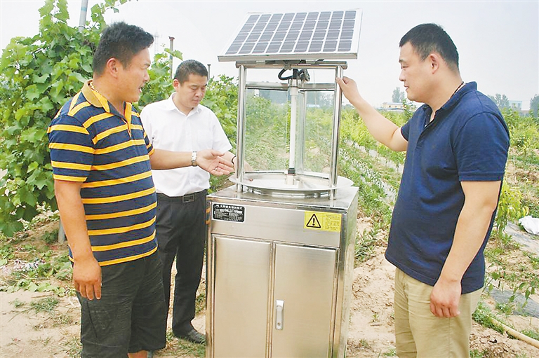 太阳能虫情测报灯实现环保节能杀虫