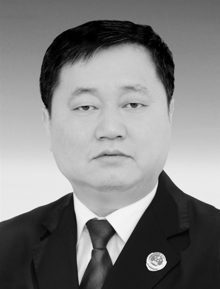 菏泽市人民政府市长副市长简介