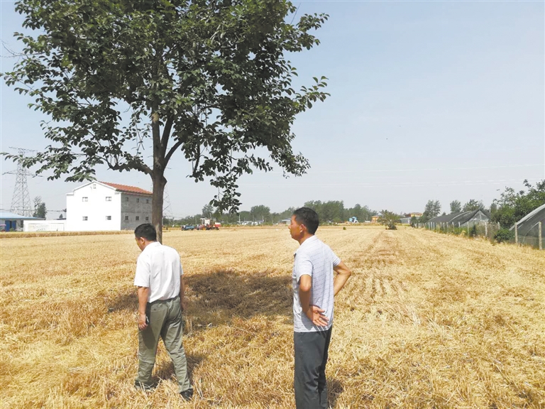 6月4日,曹县青菏街道办事处干部深入田间地头,宣传秸秆禁烧工作.